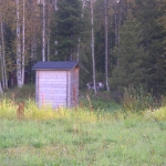 Poro pihassamme vierailulla.